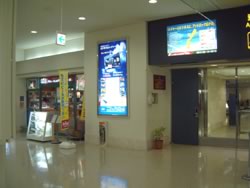 �L���}�̌f�ڗ�